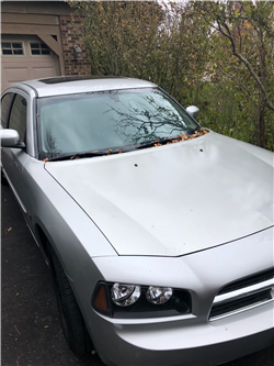 BFBCB5F6-99B0-4597-BBF9-B9719E85199E